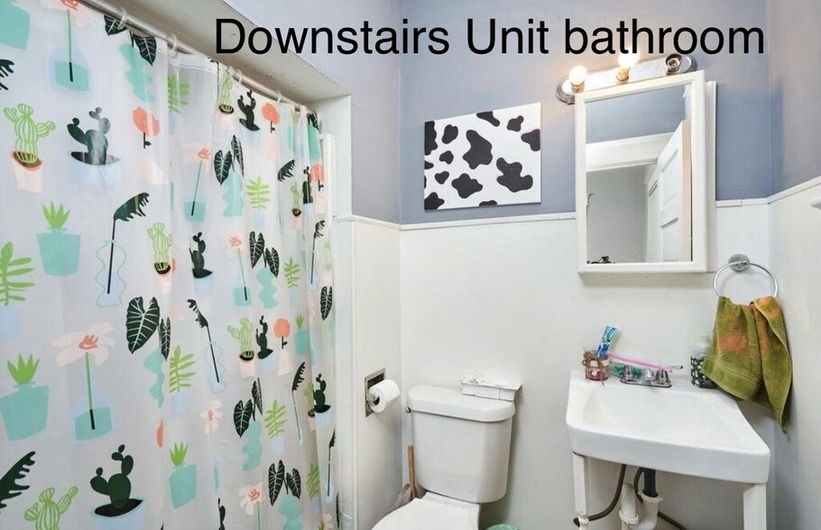 Updated Bathroom - 52 Corson Ave