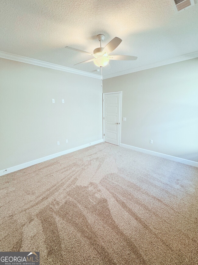 Building Photo - 135 Green Turtle Ct