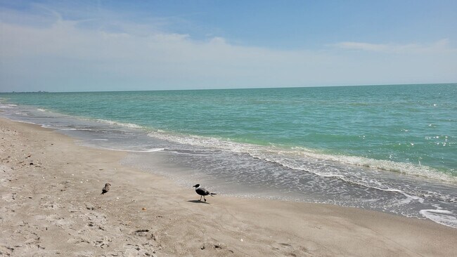 Building Photo - Seasonal/short term renovated 3/3 villa with golf course views on Longboat Key!