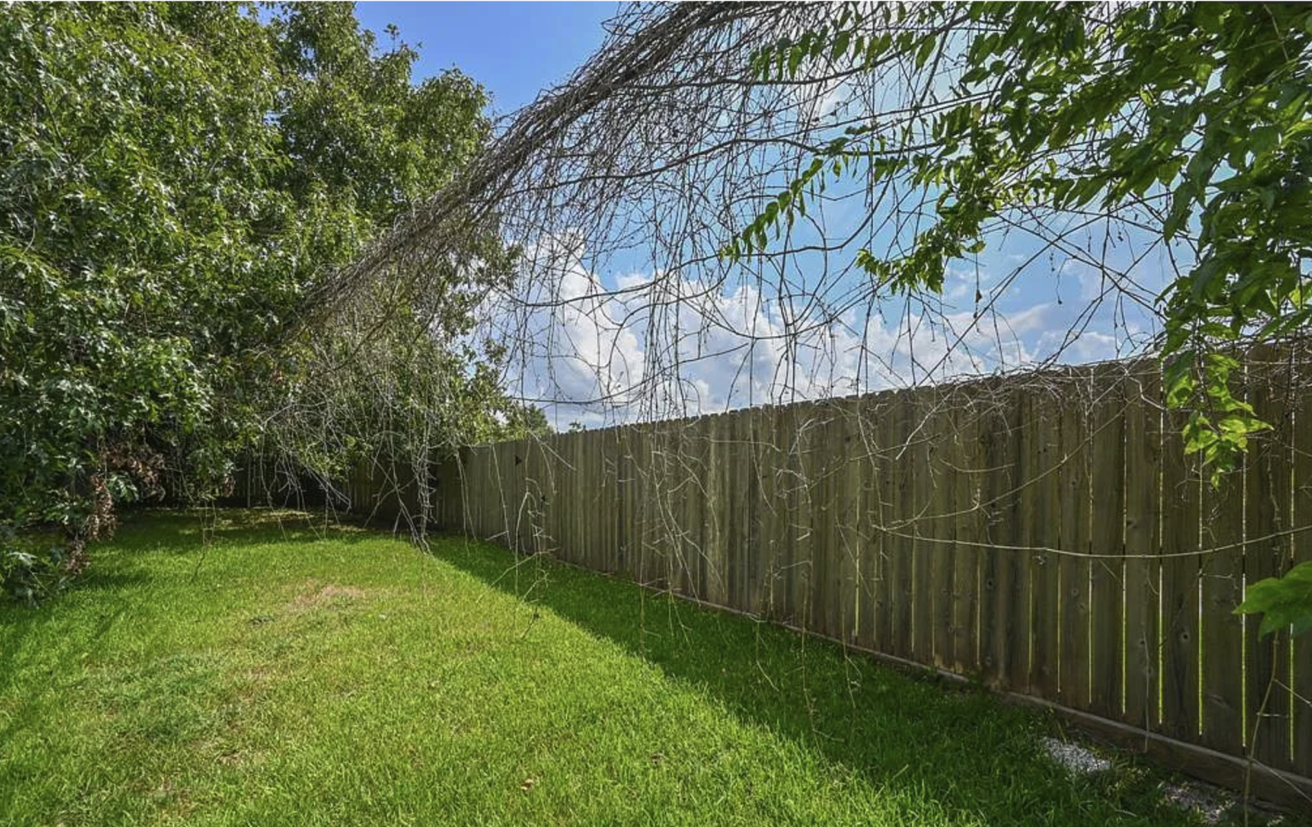 Building Photo - 1507 Bayou Dr