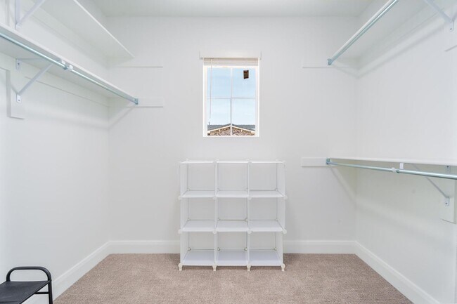 Master walk-in closet - 484 W Greenstone Pl
