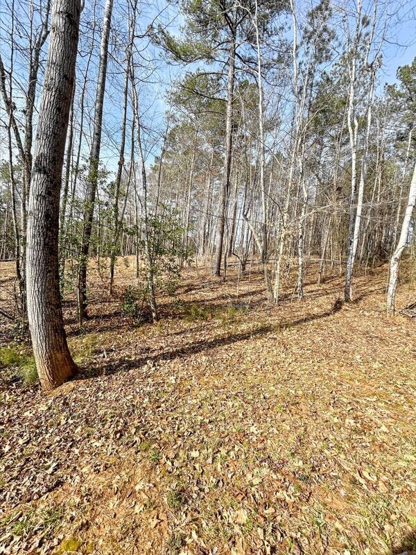 Building Photo - 1333 Ron Whicker Dr