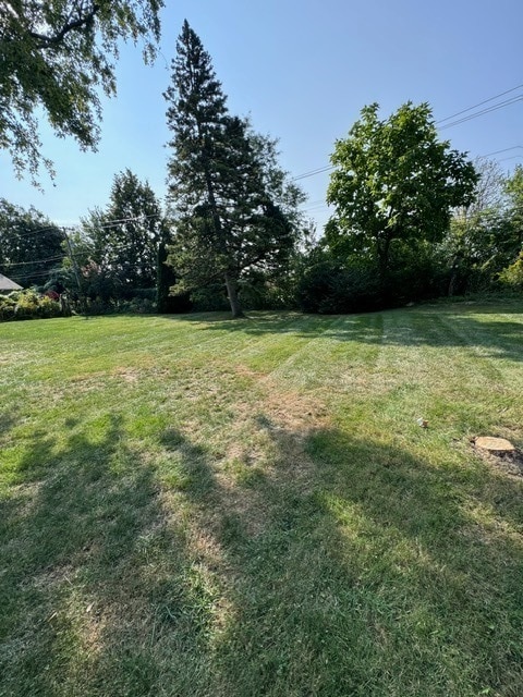 Building Photo - 33 E Walnut Ave