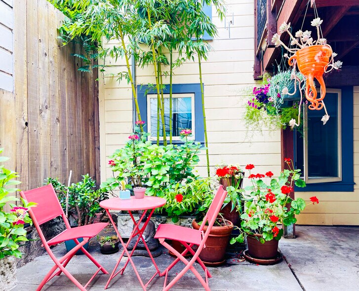 Gated, peaceful patio with bamboo, jade, succulents, hydrangeas, and geraniums - 328 Harriet St