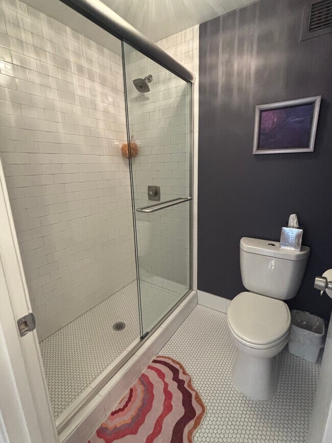 Brand new renovated bathroom - 109 N Main St