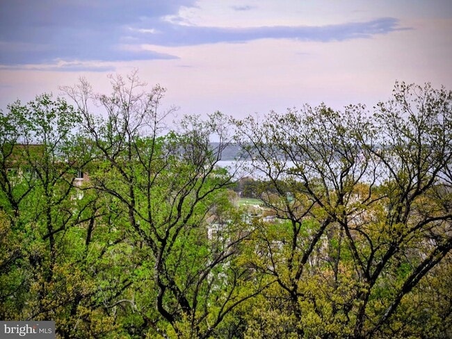 Building Photo - 5903 Mt Eagle Dr