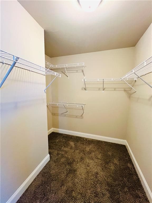 Building Photo - 3728 Southfield Ct