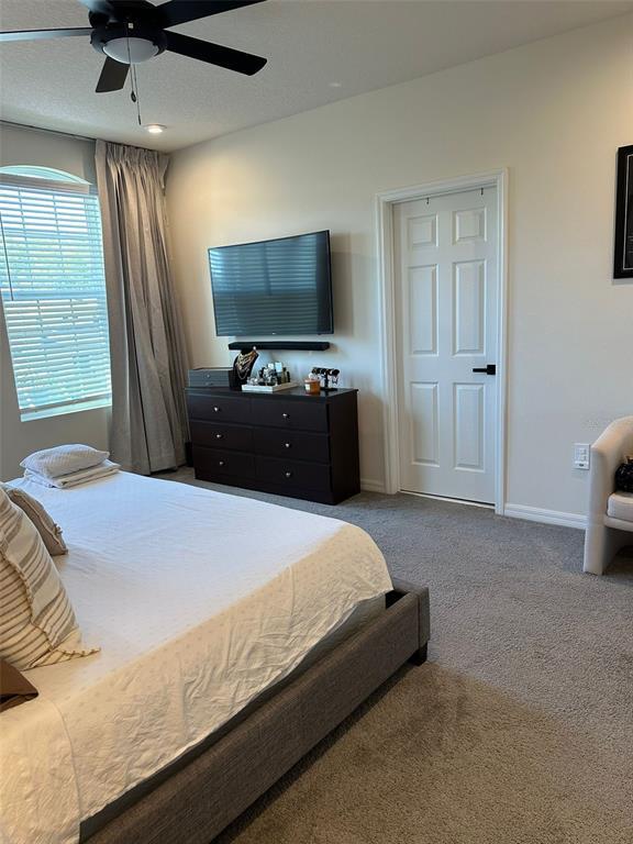 Building Photo - 2433 Varenna Loop