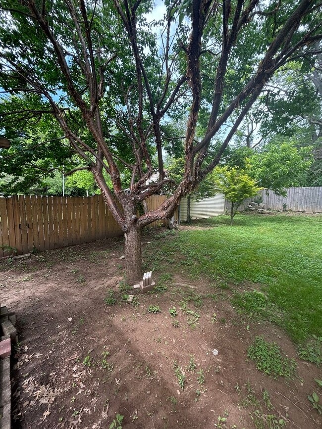 Building Photo - Spacious 4 bedroom 1 Bath Home with Tons o...