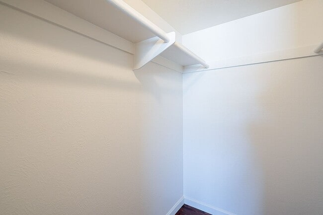Building Photo - South Scottsdale with Views of Camelback!