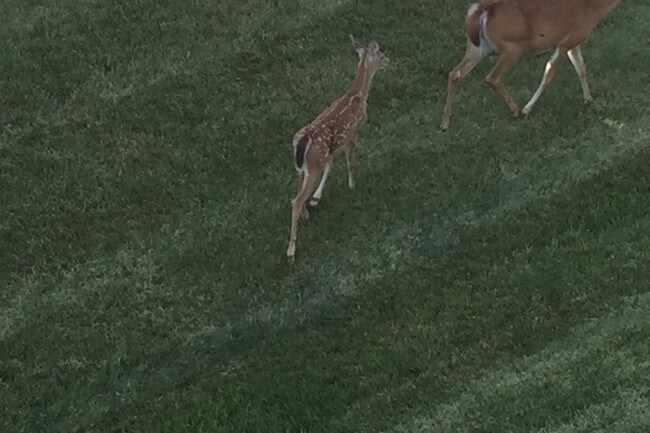 Building Photo - 1350 Parkview Estates Dr