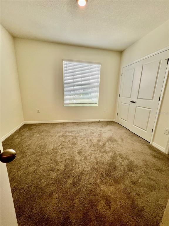 Building Photo - 32557 Turtle Grace Lp