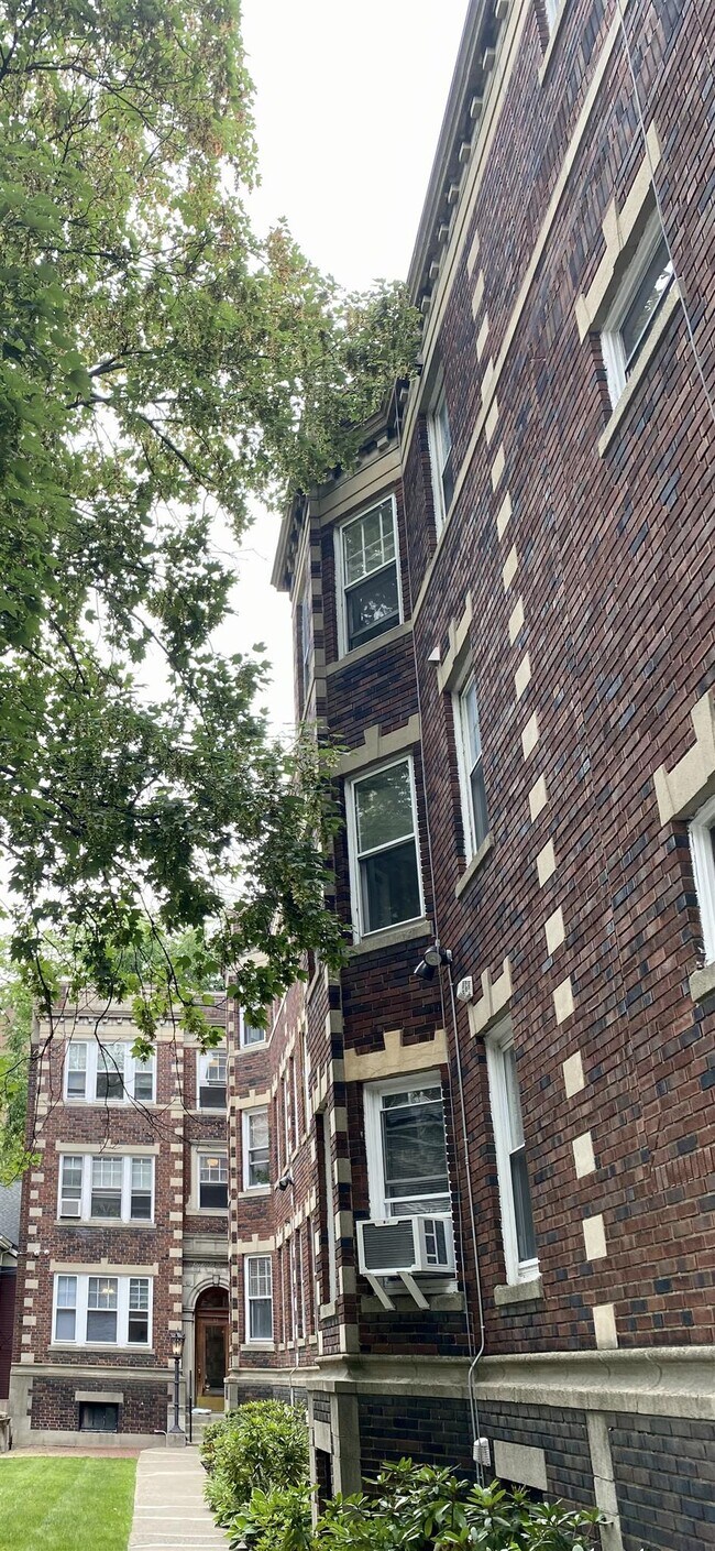 Building Photo - 13 Ellery St