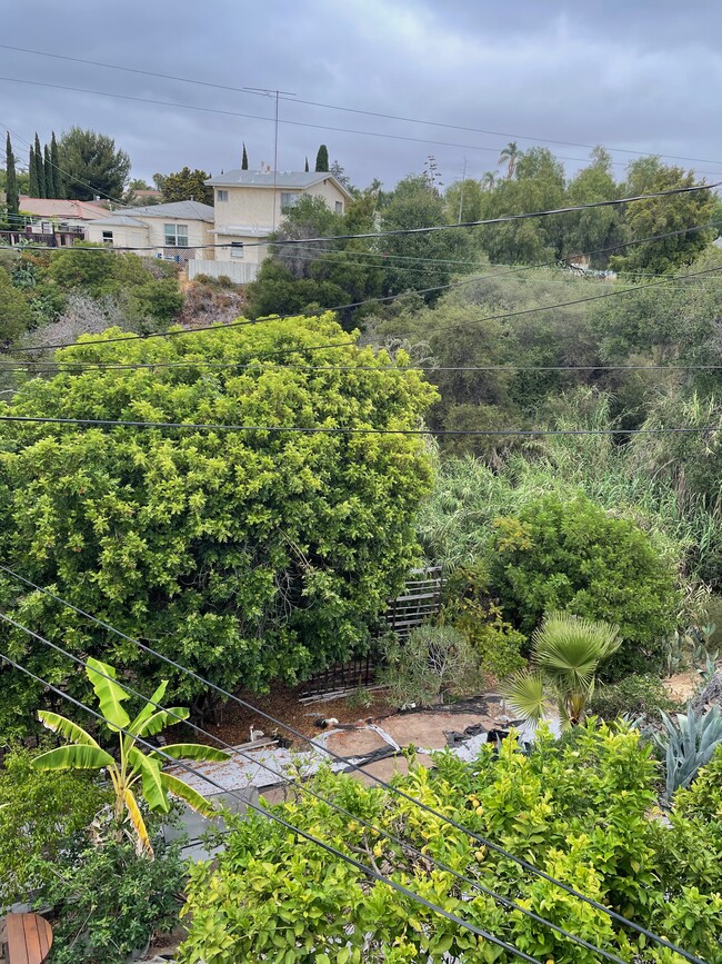 View 2 - terraced backyard to canyon - 5456 Gilbert Dr