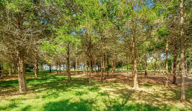 Building Photo - 237 Blank Ln