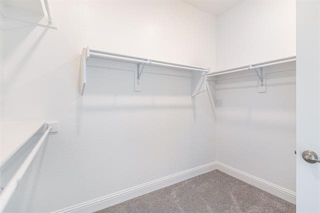 Building Photo - 1725 Blakely Pl