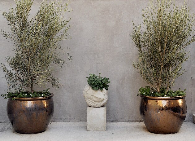 our beautiful property - 457 N Spaulding Ave