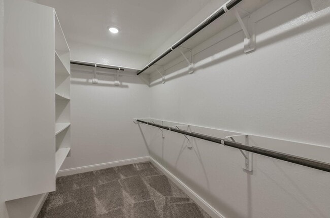 Building Photo - 11210 Pavonia Creek Ct