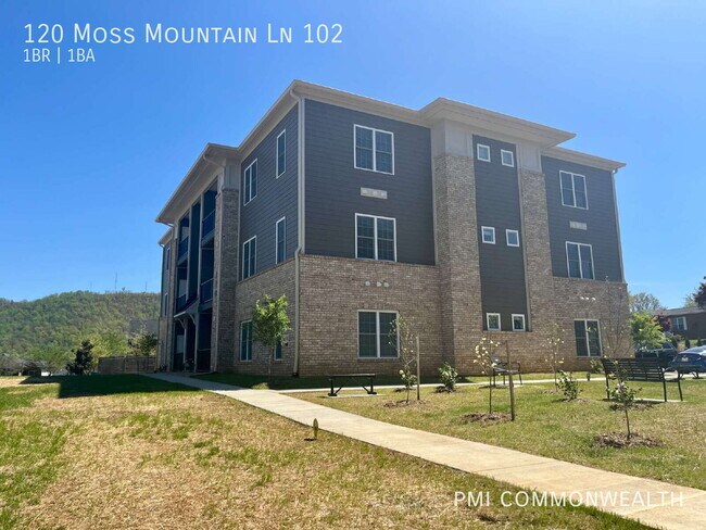 Building Photo - 120 Moss Mountain Ln