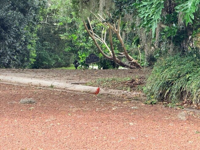 Building Photo - Large and Stunning 2700sqft Newly Renovated 3BR 3BTH!