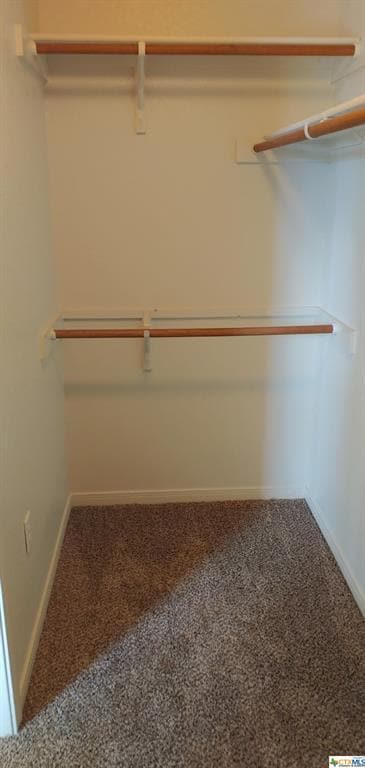 Building Photo - 516 Olaf Dr