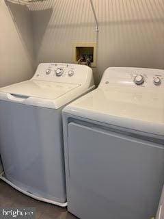 Building Photo - 4908 Tall Cedar Ct