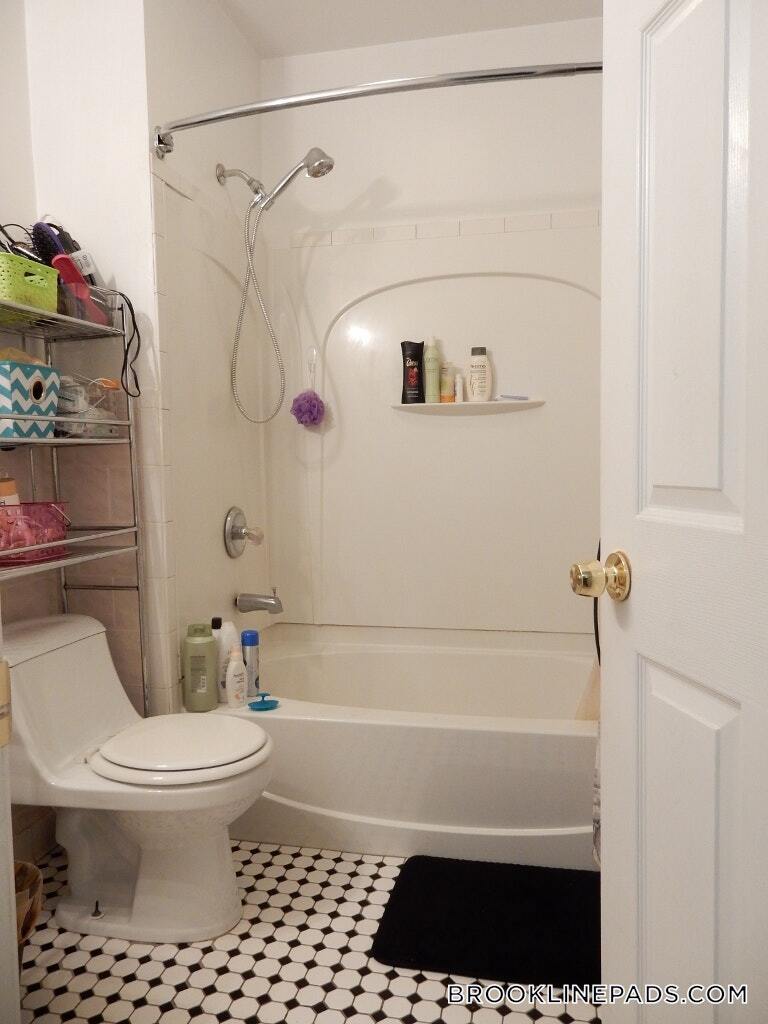 Building Photo - 62 Egmont St