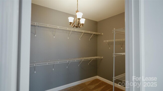 Building Photo - 12325 Summer Breeze Ct