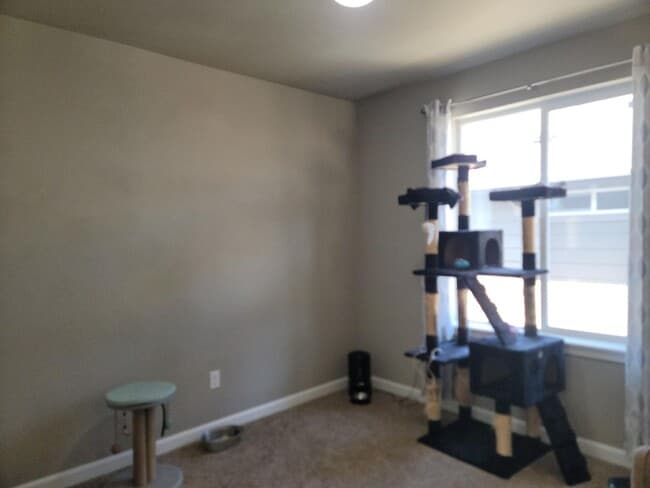 Building Photo - 3 Bedroom Home in Freestone at Bayside