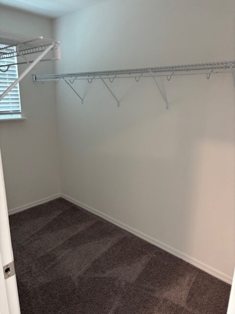 Building Photo - 3761 Academia Ave