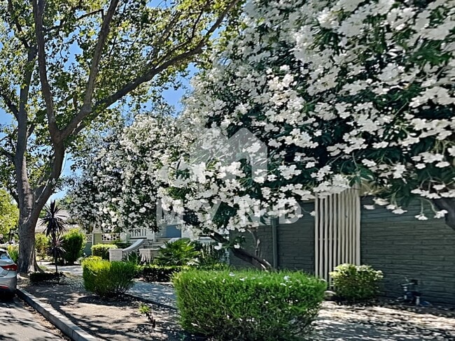 Building Photo - 2418 T St Apt 5