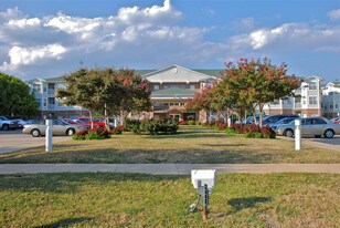 Building Photo - Country Lane Seniors McKinney