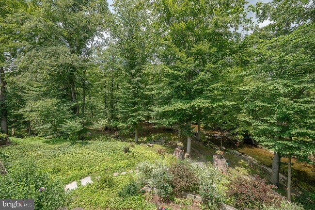Building Photo - 337 Crum Creek Ln