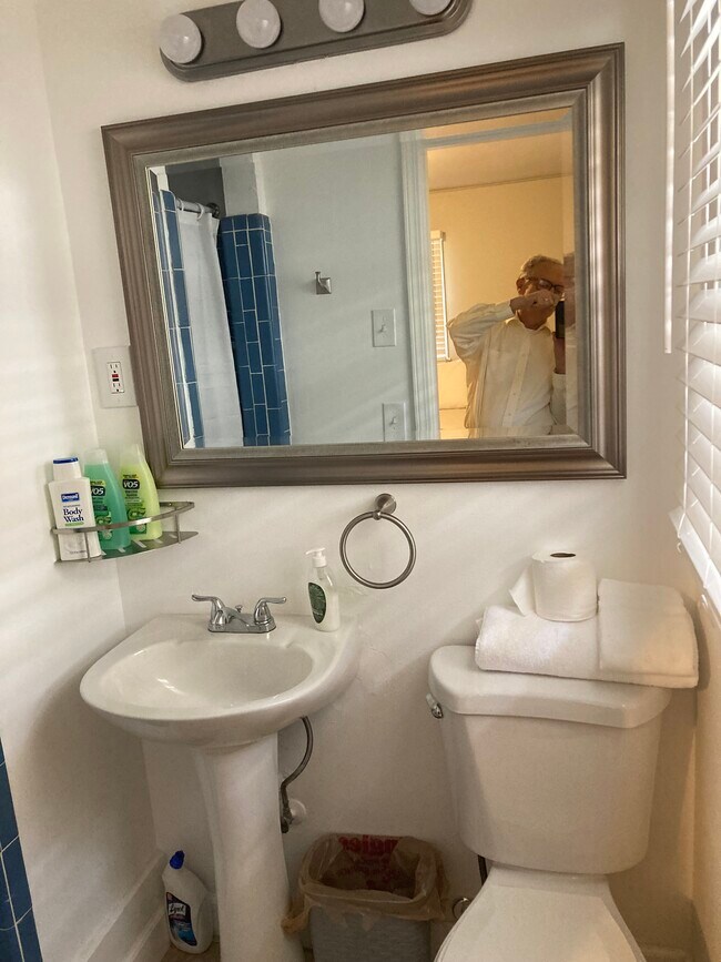 12 Theodore room 3 bath - 12 Theodore Dr