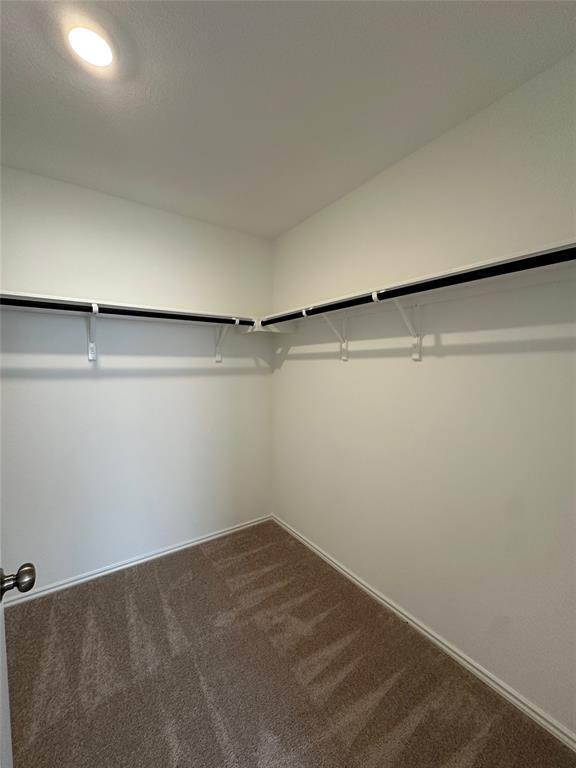 Building Photo - 2513 Four Waters Lp