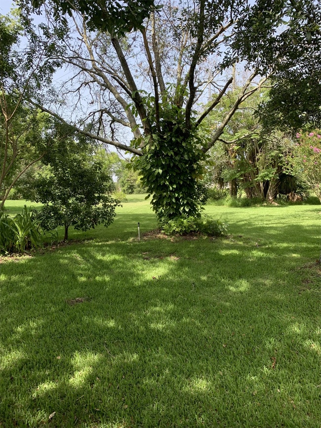 Building Photo - 5572 Memorial Dr