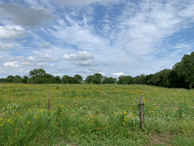 Building Photo - 4296 TX-304