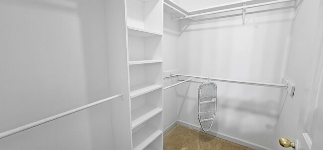 Building Photo - 4299 Gin Wade Cove