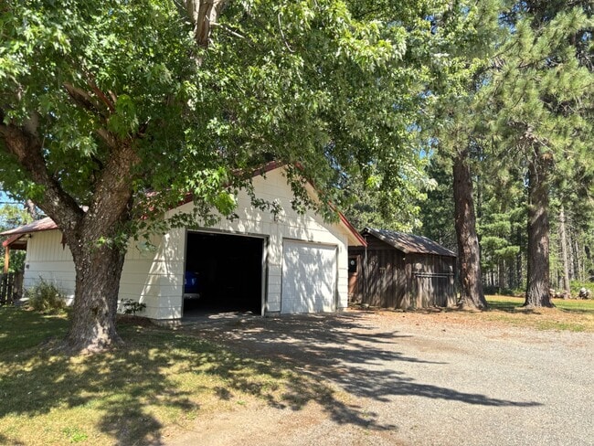 Building Photo - 10239 Baldy Mountain Rd