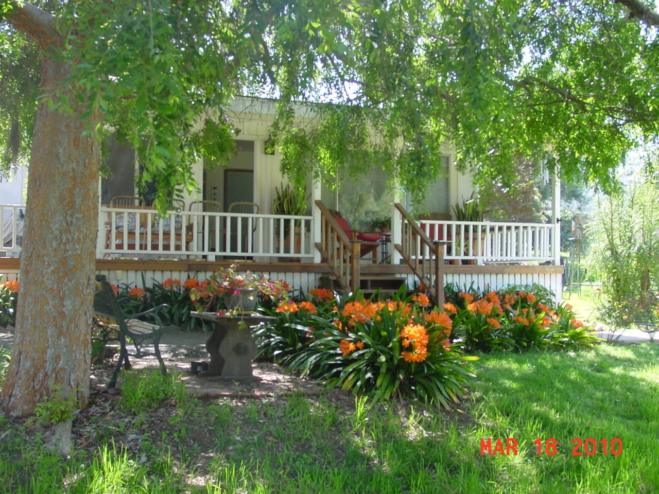 Building Photo - 1357 S Magnolia Ave
