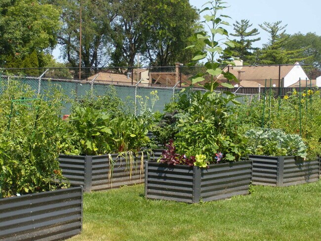 Building Photo - 125 Acacia Cir