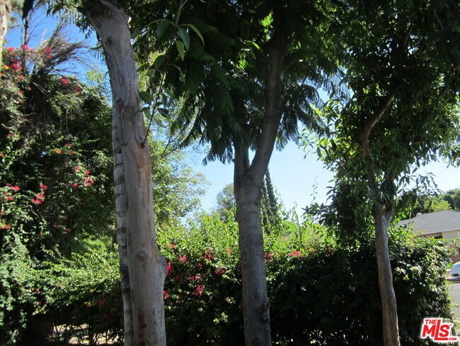 Primary Photo - 6837 Lubao Ave