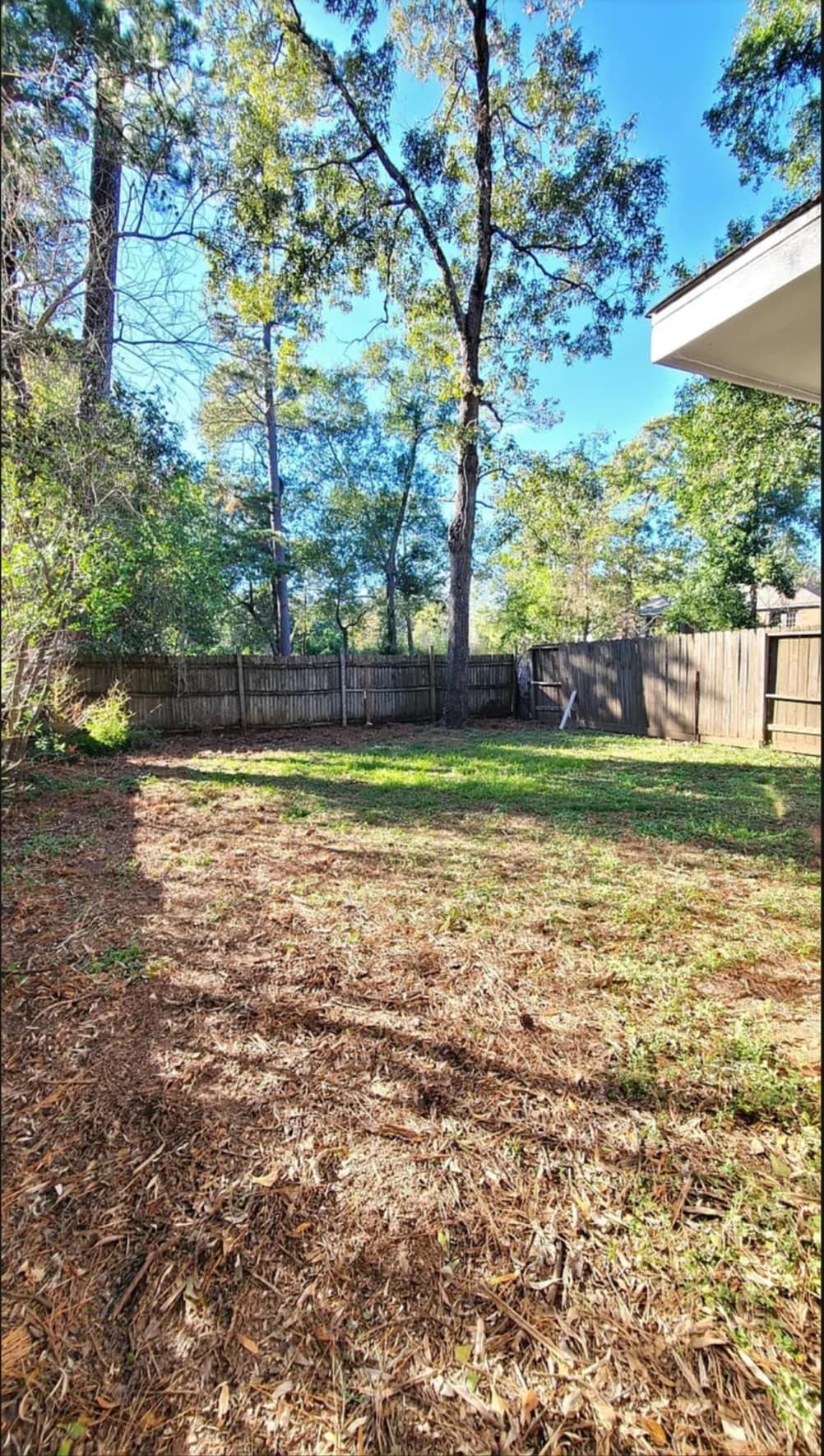 Building Photo - 1203 N Pacific St