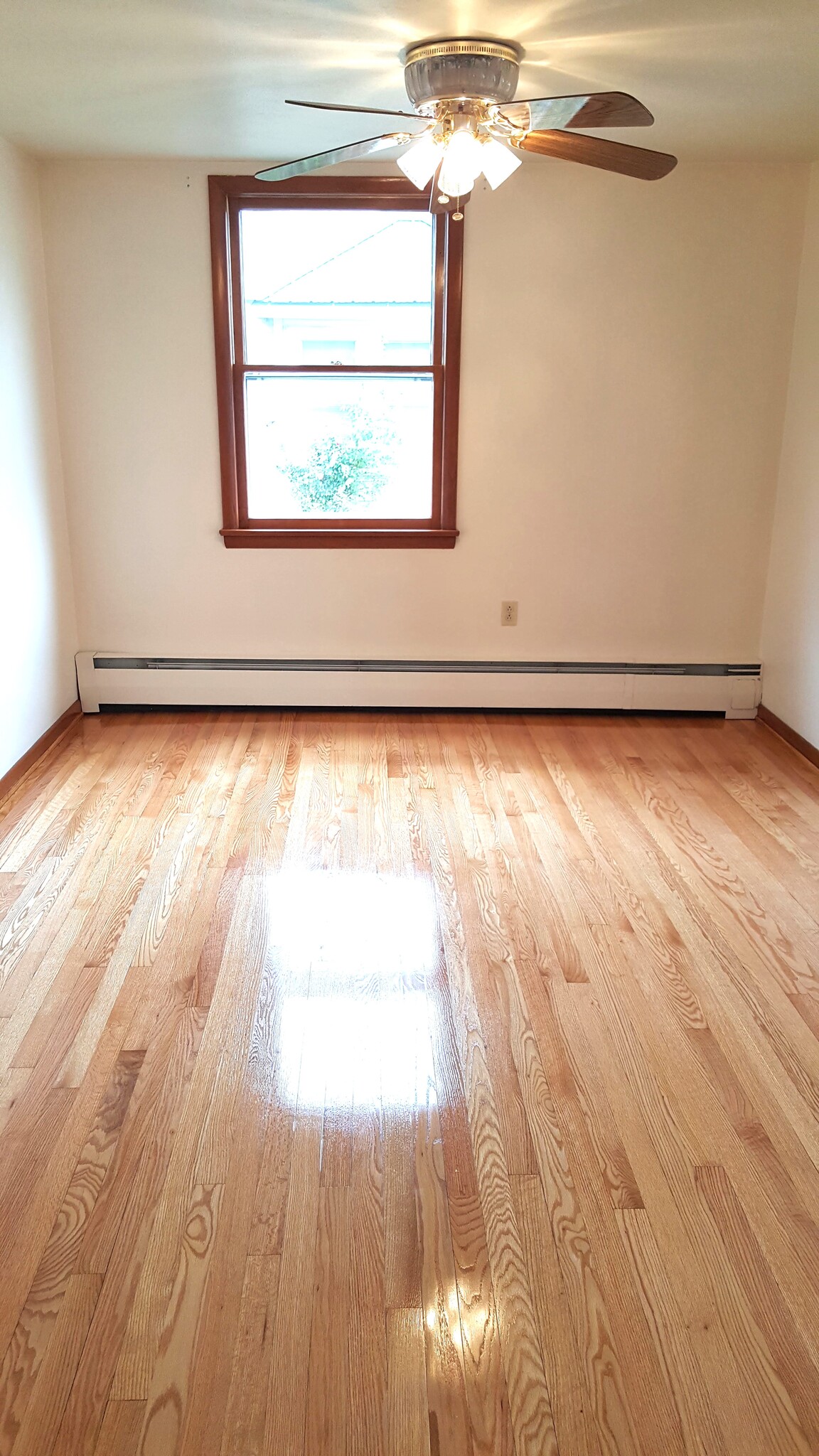 dining room - 252 Front St