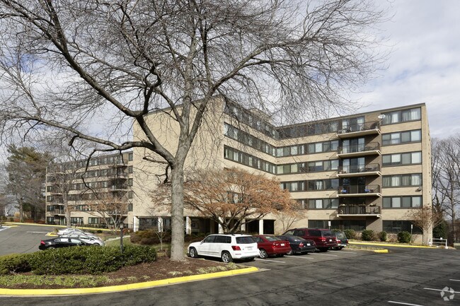 Primary Photo - Madison Condominium