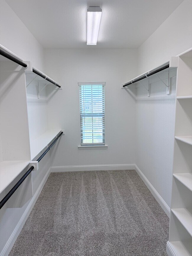 Building Photo - 4717 Piedras Lanzar Dr
