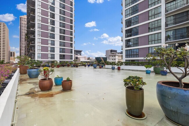 Building Photo - Downtown Honolulu Condo - AC . W/D . Full Kitchen