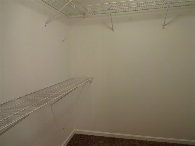 Building Photo - 285 Thornbush Ln