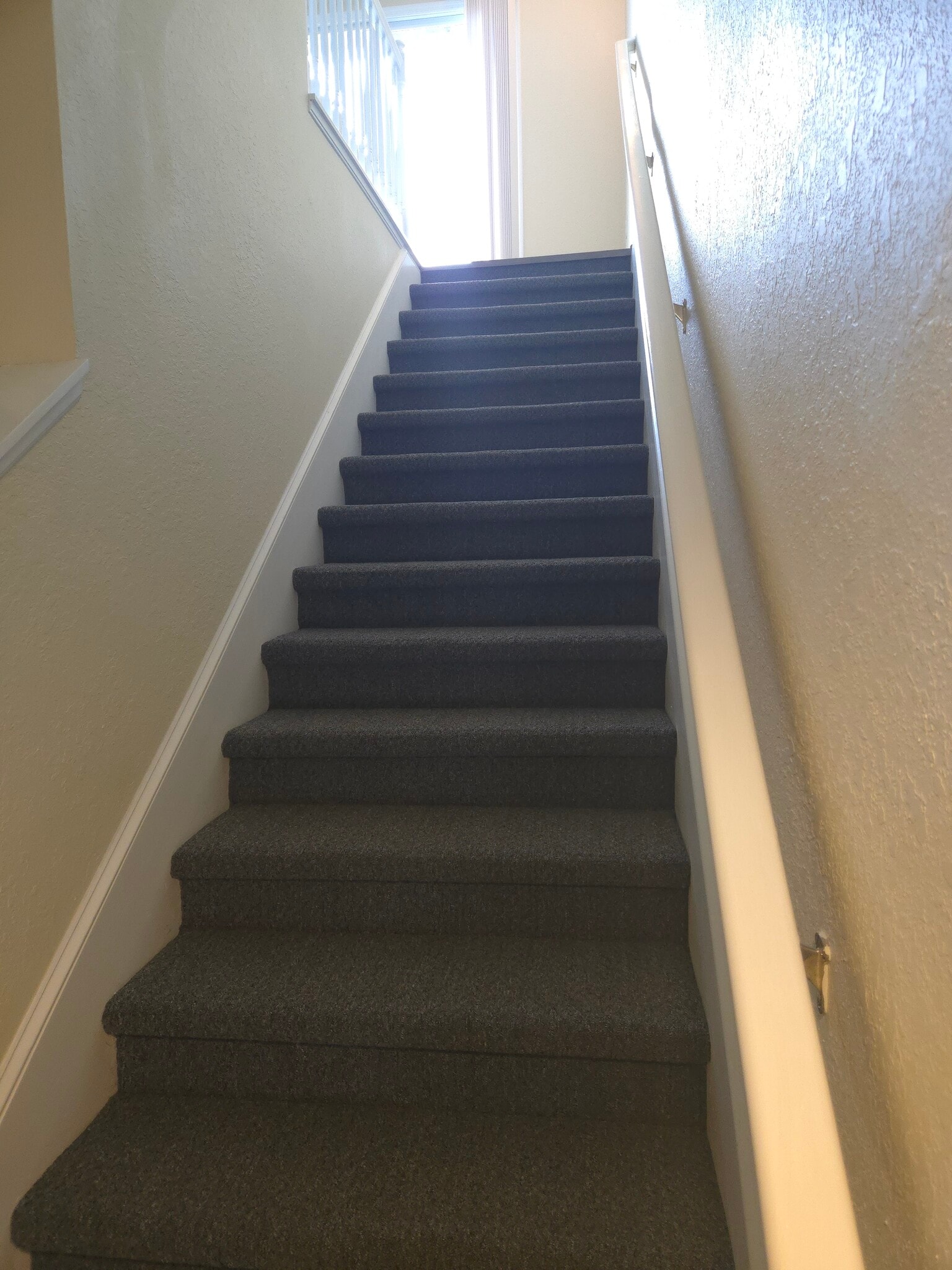 new carpet - 3409 10th Ln W