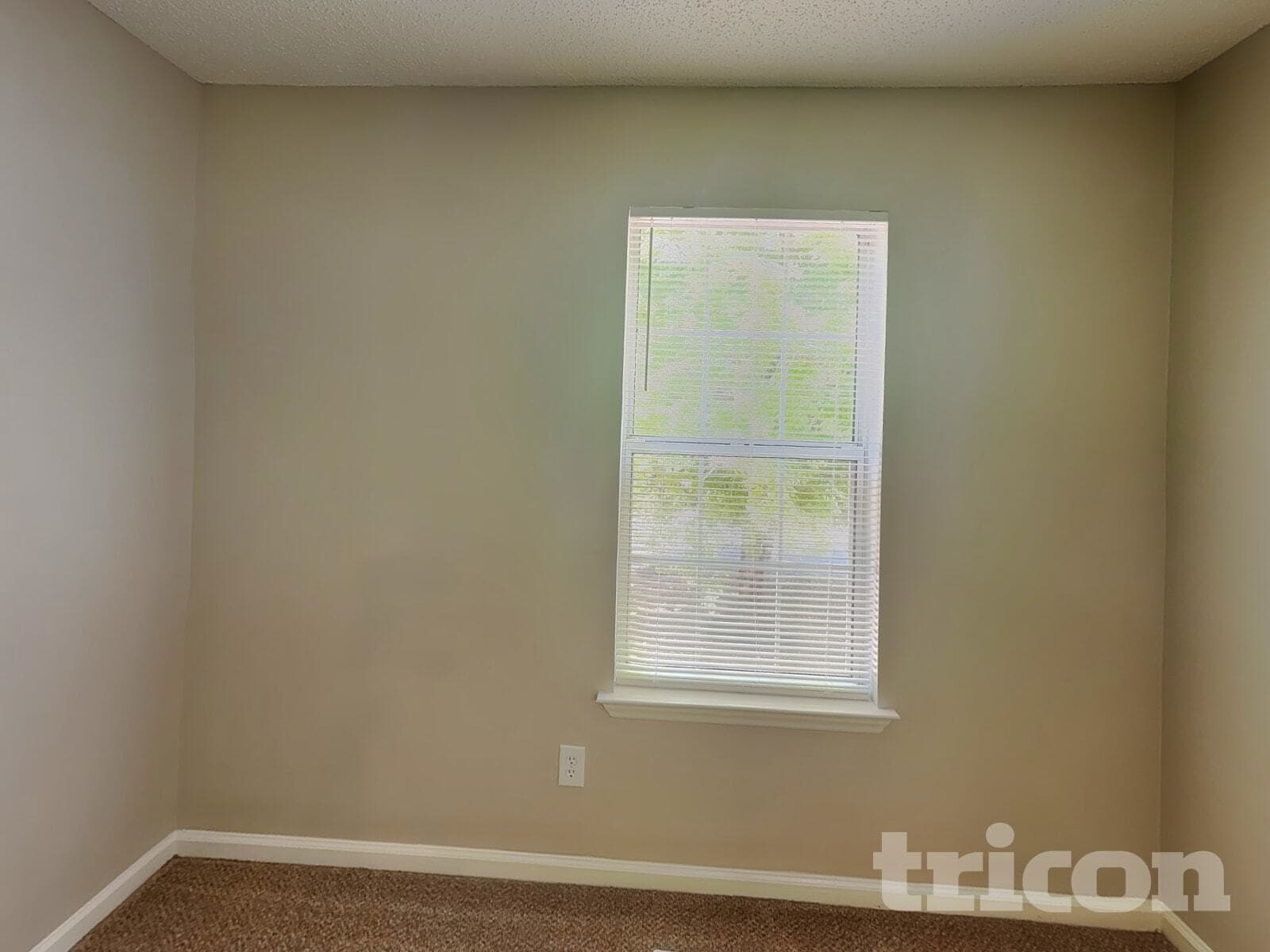 Building Photo - 11136 White Stag Dr
